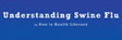 Understanding Swine Flu
