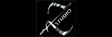 Zorro Studio